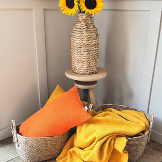 When the Sun Takes a Break: Bring the Sunshine Indoors with Mustard & Clementine