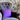 Thistle Square Cushion